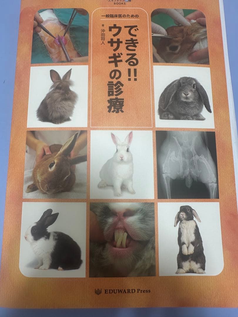 できる!!ウサギの診療　沖田将人　エデュワードプレス