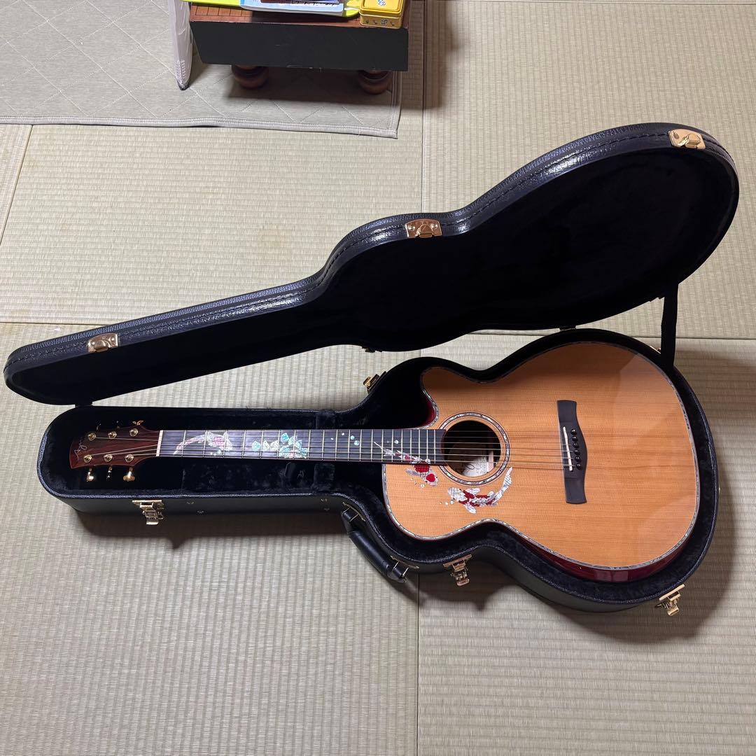Ayers アコースティックギター CustomShop 限定版 ココボロ 錦鯉