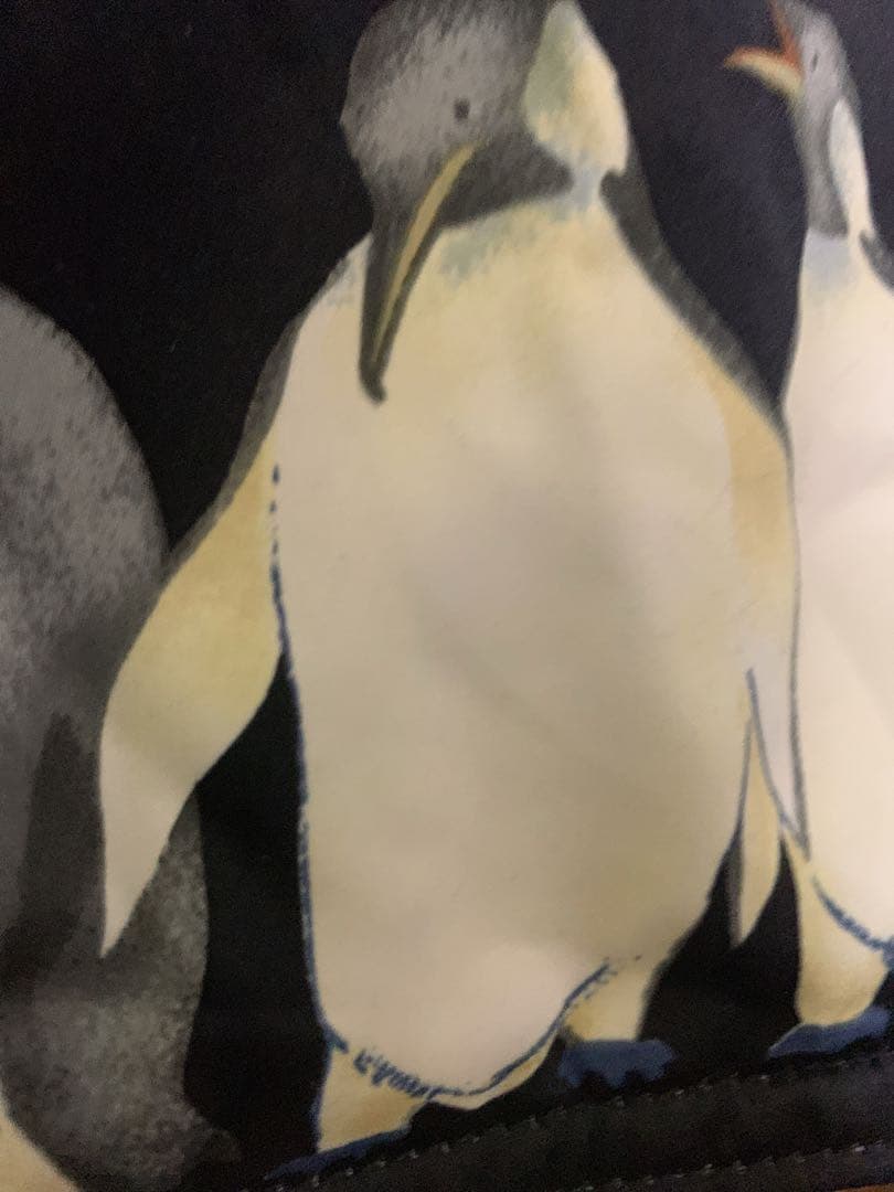 ケンショウアベ 中綿ジャケット　ペンギン　氷柄　レディースフード付きスキーウェア