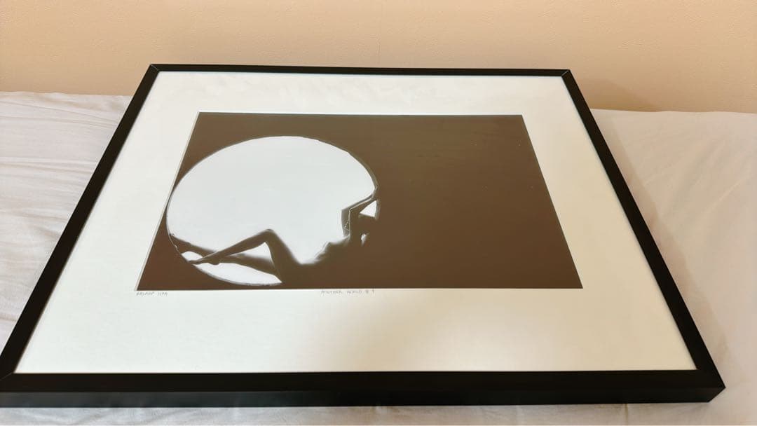 ⭐︎額入り⭐︎アート⭐︎壁掛け40×50cm