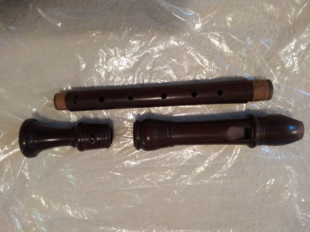 タケヤマ・アルトリコーダー(TA442R)ローズウッド、ケース付き