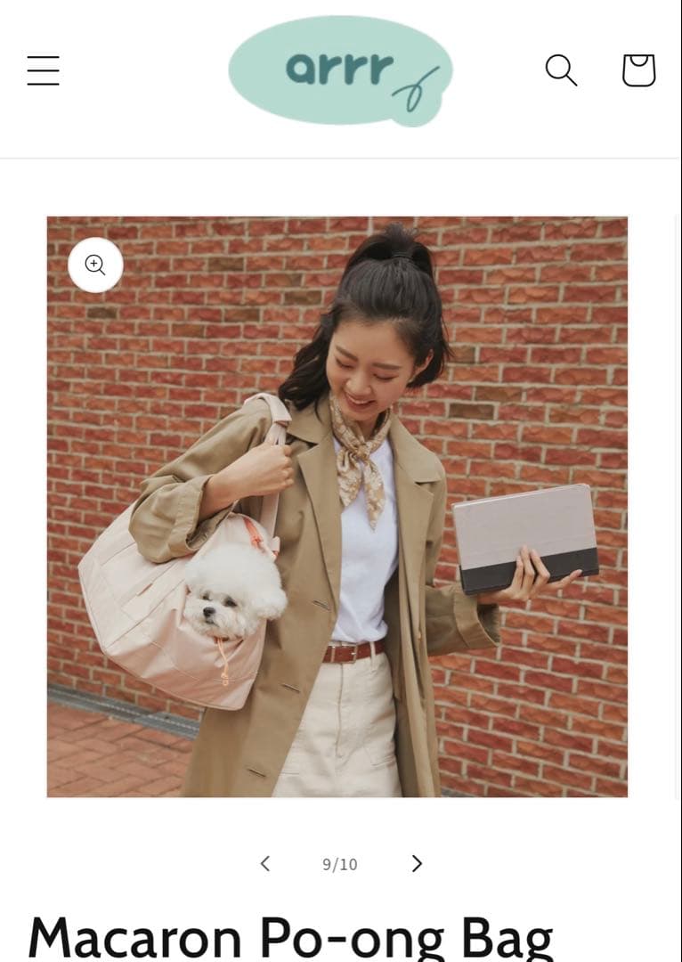 arrr ハグキャリーバッグ