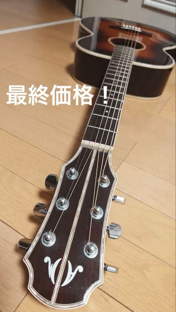 【希少美音】　ARIA Meister　AMS-01BS　エレアコ