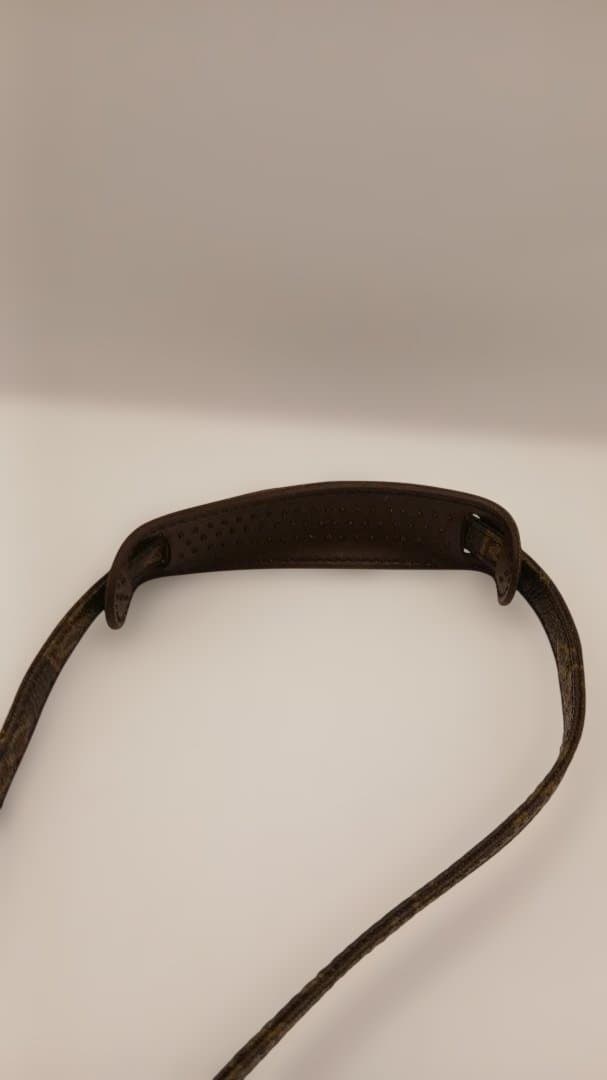 Louis Vuitton モノグラム スピーディーミニ