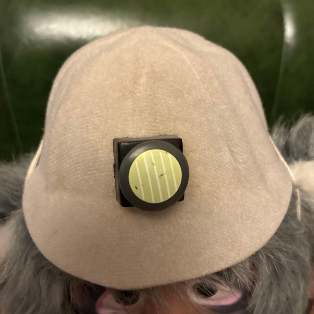 70's ディズニー カントリーベア ビッグアル プラッシュドール 2体セット