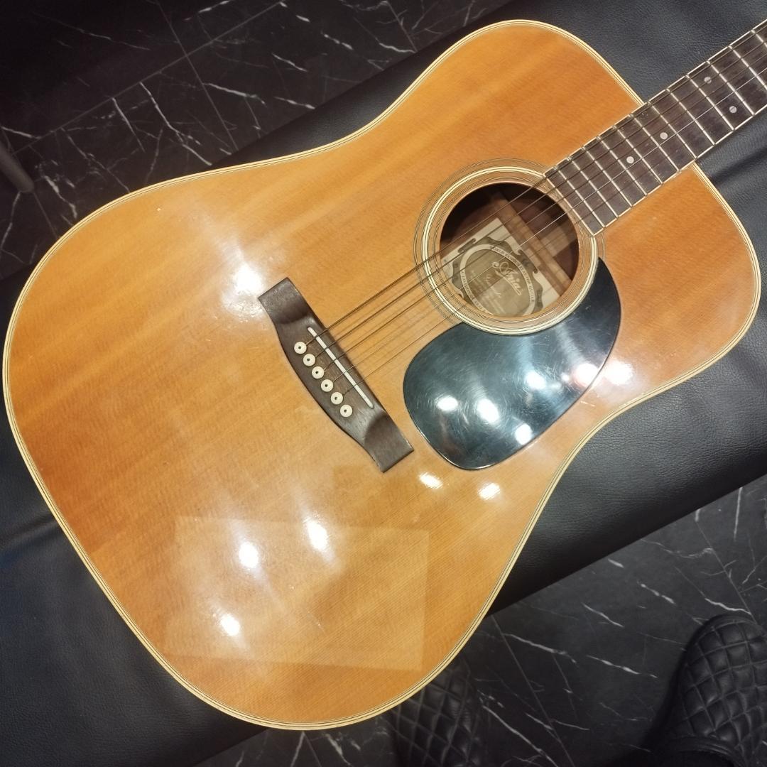 Aria ＆ co アコースティックギター　W-200