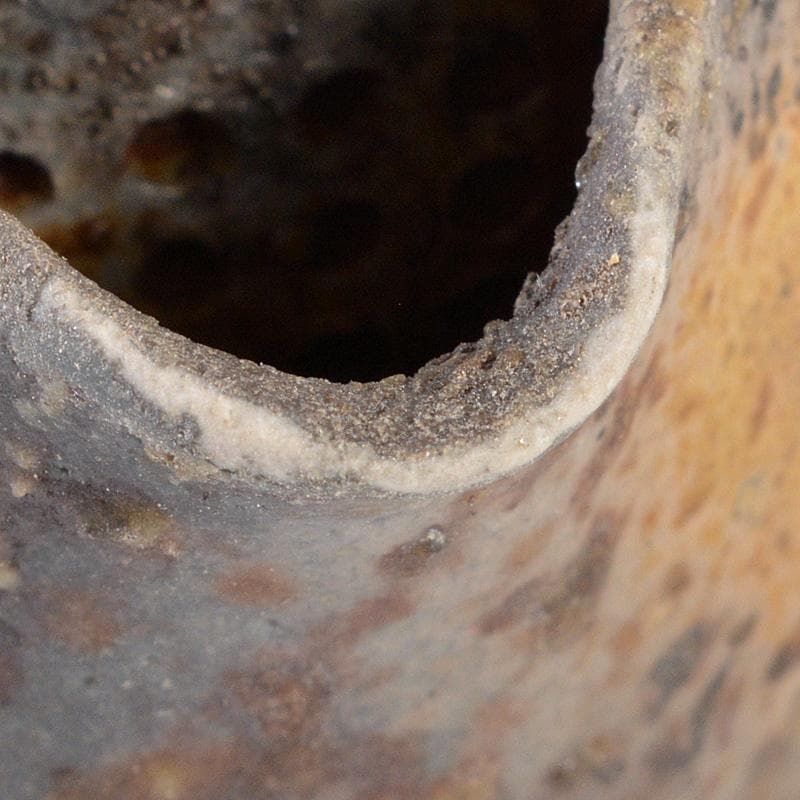 煎茶道具　備前焼　明光窯　蓮根摘蓮葉　宝瓶　急須　共箱　D　R6438