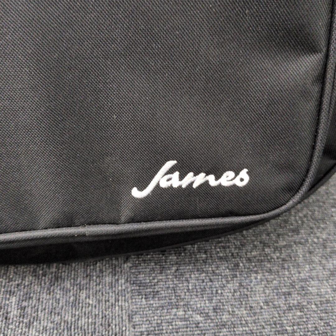 l*7様 James J-300S SWH アコースティックギター