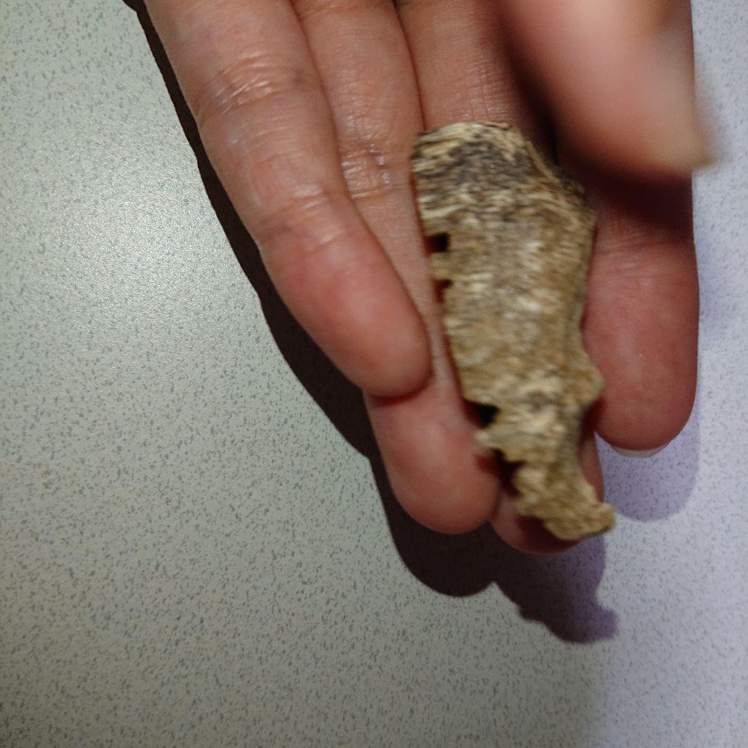 香木 沈香 伽羅 聞香◎品名極上カンボジア産奇形種