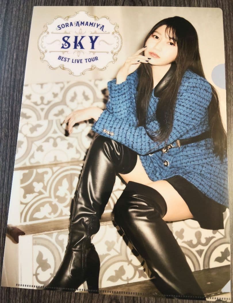 雨宮天 クリアファイル23枚セット