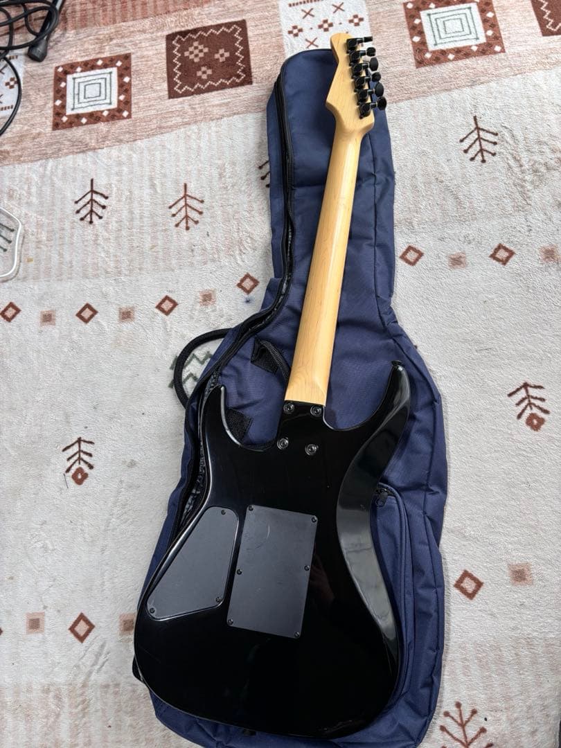 メンテナンス済み美品！　フェルナンデス　FR55