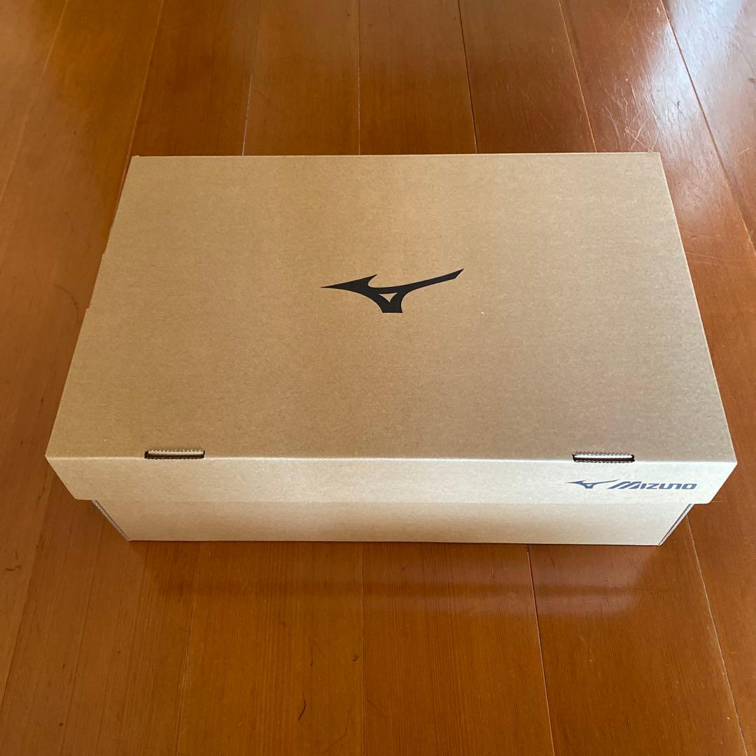 Mizuno WAVE REBELLION PRO 2 26.5cmプレート入り