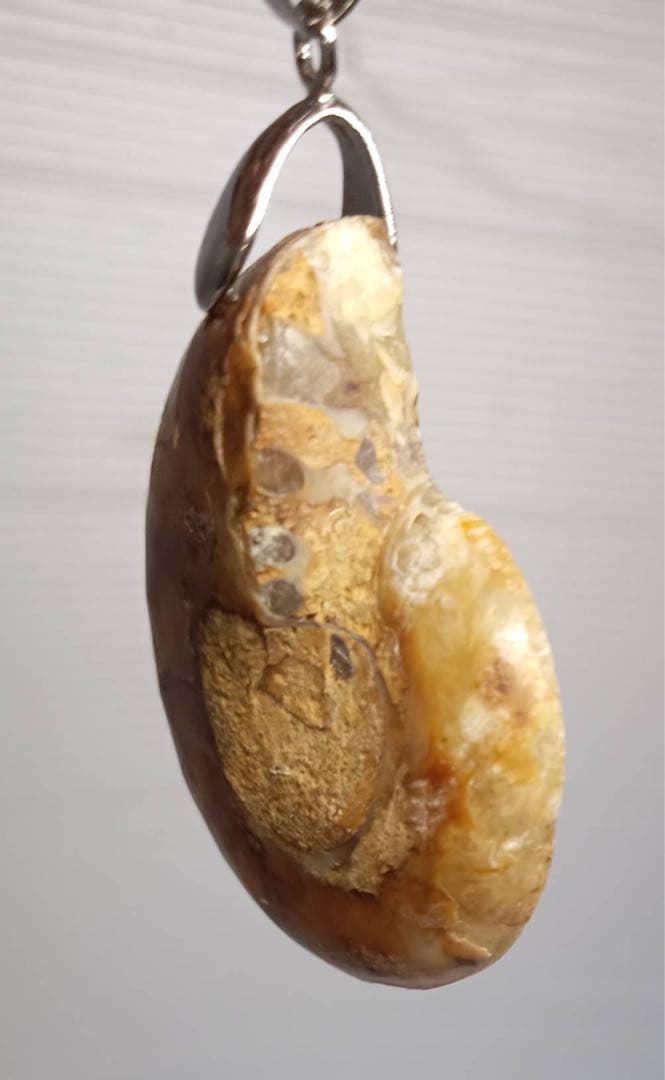 天然 アンモナイト アンティーク ペンダント ネックレス 2点 セット