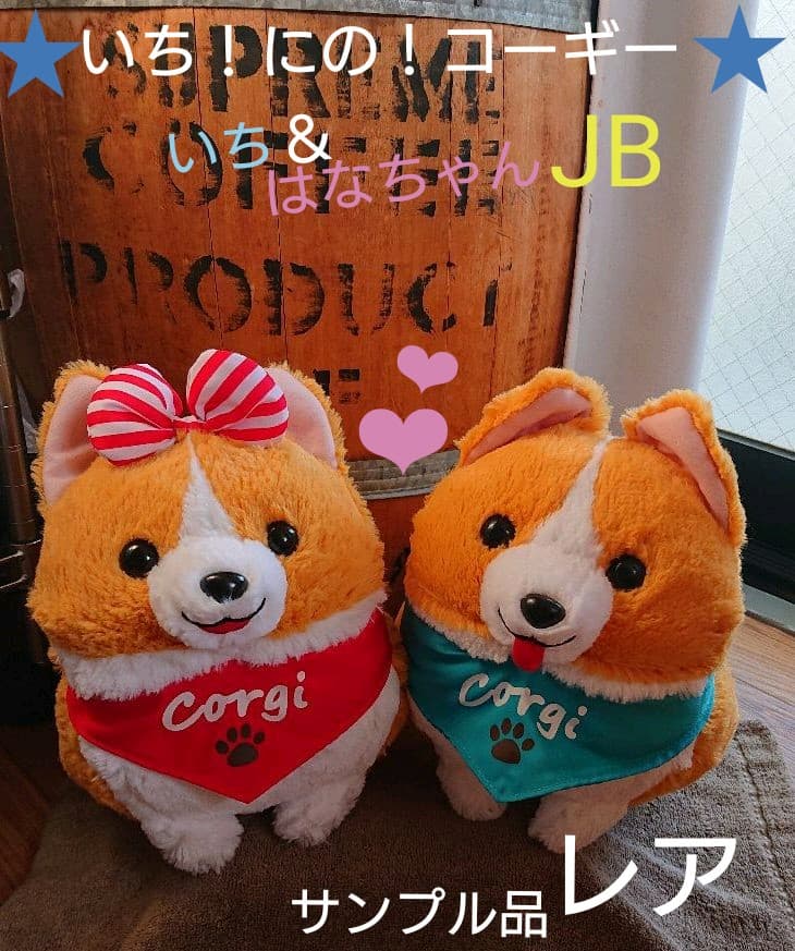いち！にの！コーギー  【レア  サンプル品】JBサイズ