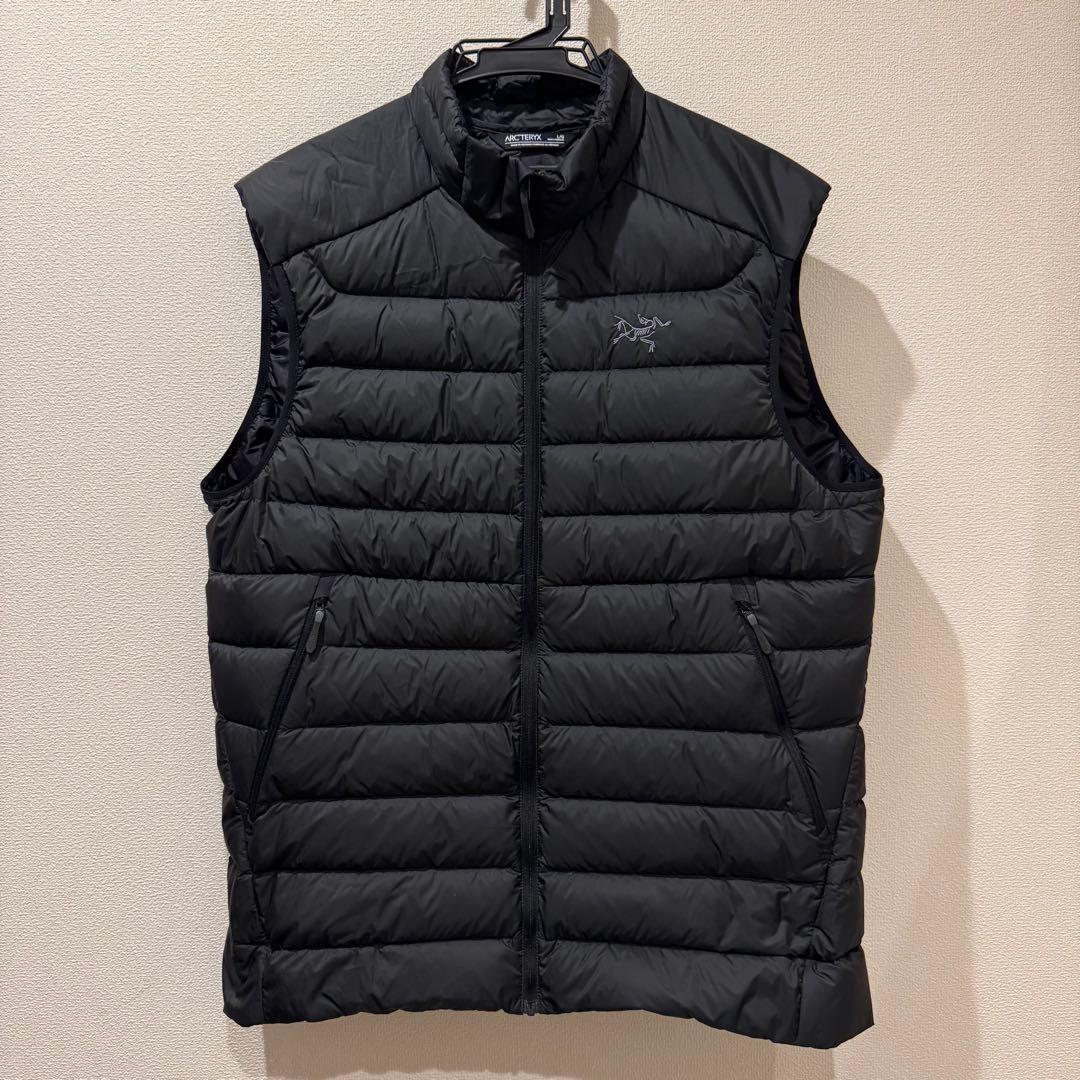 トップス [ARC'TERYX] Cerium Vest