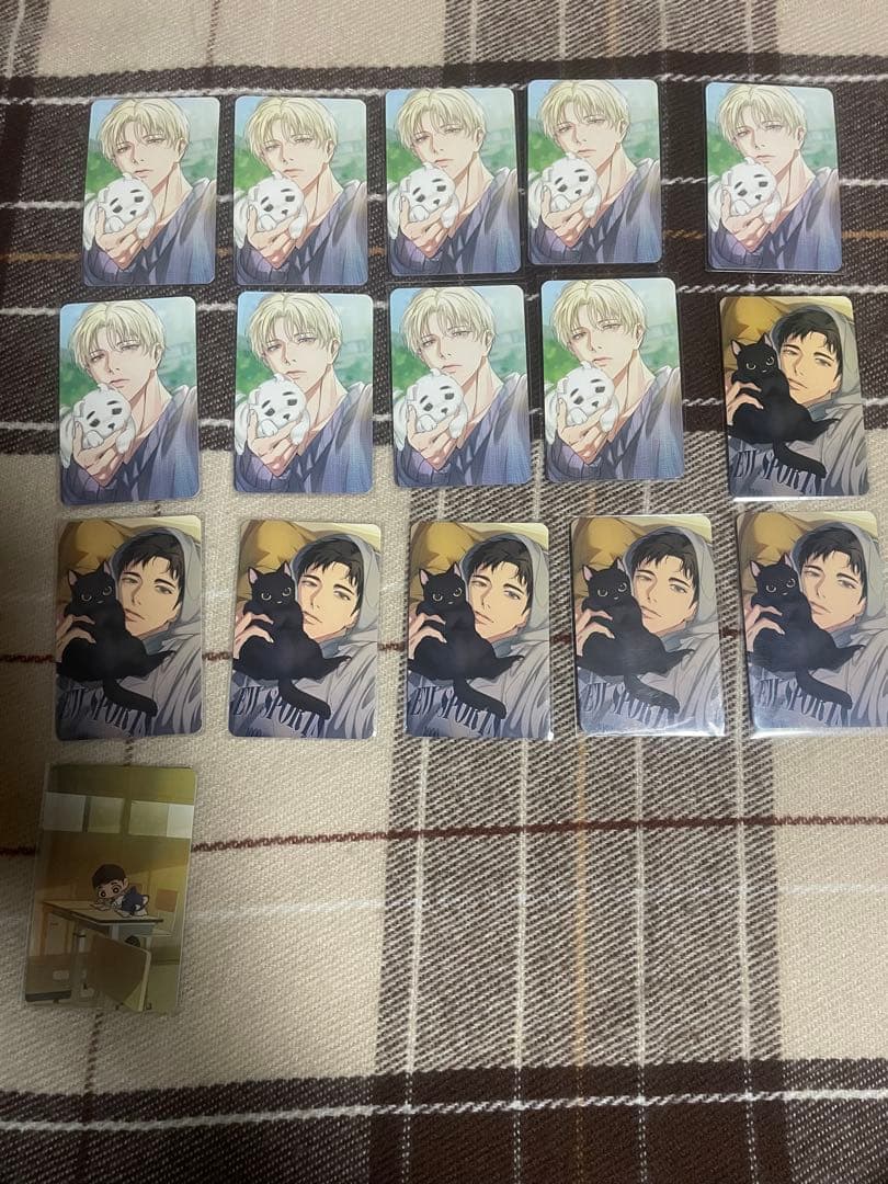 韓国bl バックライト backlight トレカ まとめ売り