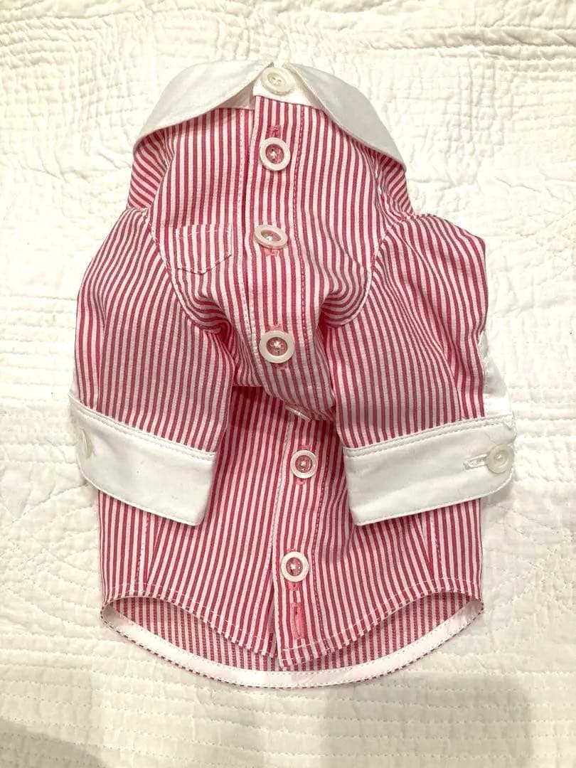 atelier gg クレリック シャツ 白襟