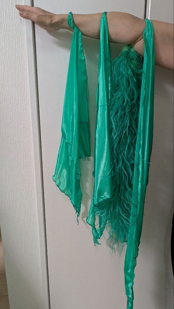 社交ダンス　スタンダードドレス　Felicia製