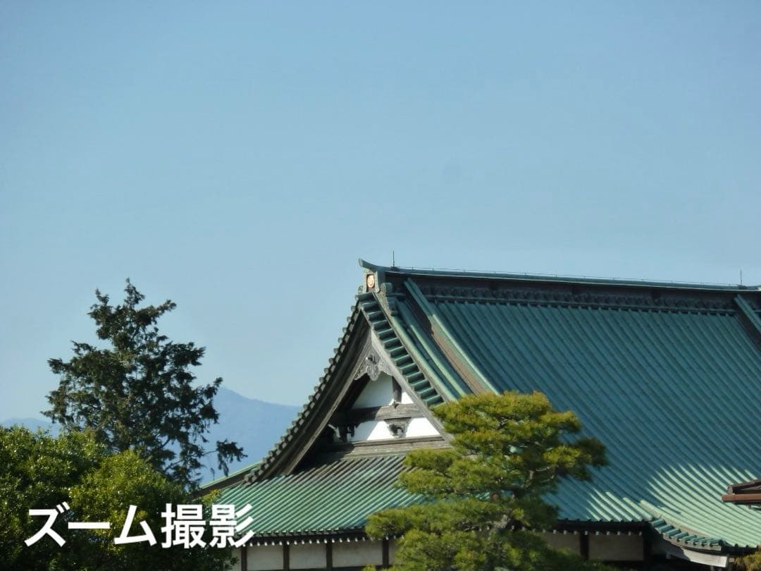 実写良⭕️【動作確認済】Panasonic LUMIX DMC-ZX1