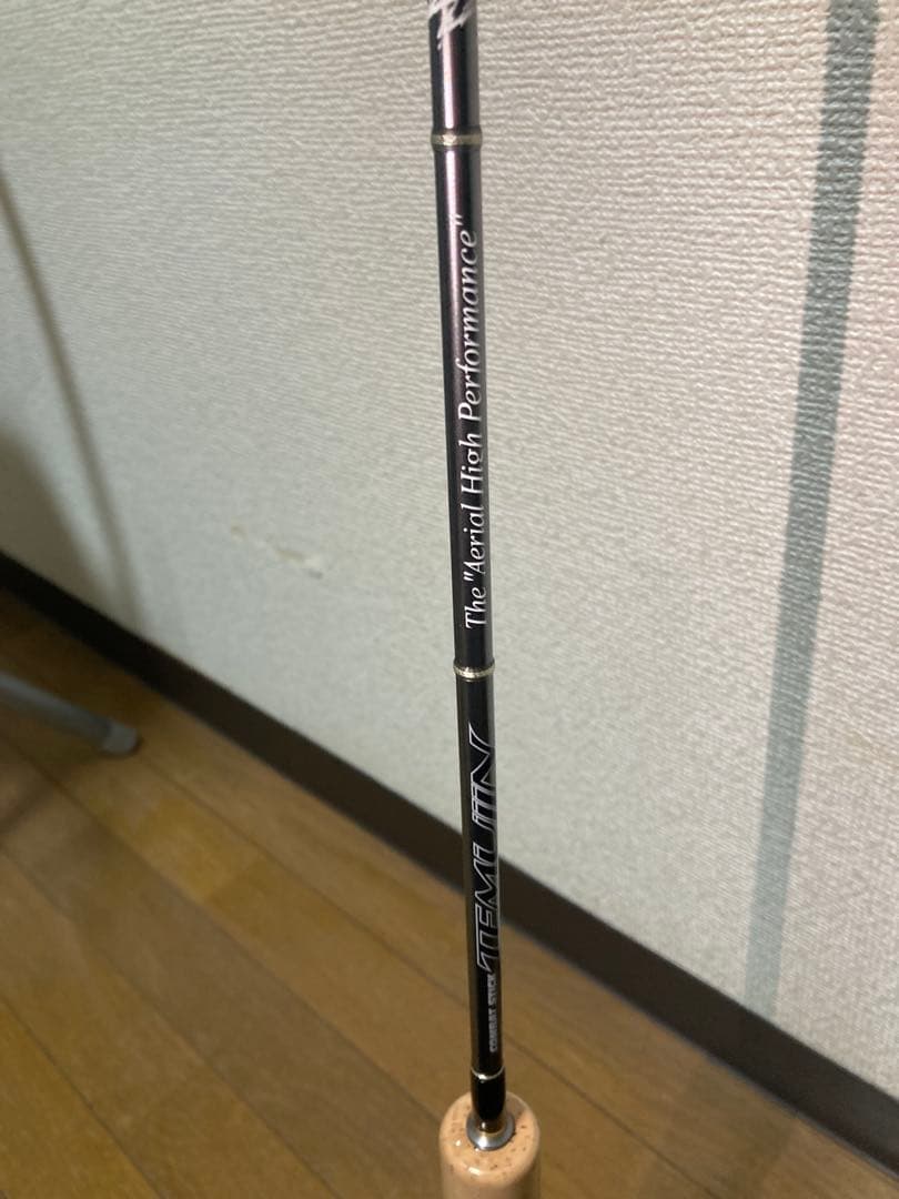 エバーグリーンTMJS-60L エアリアル ハイパフォーマンス