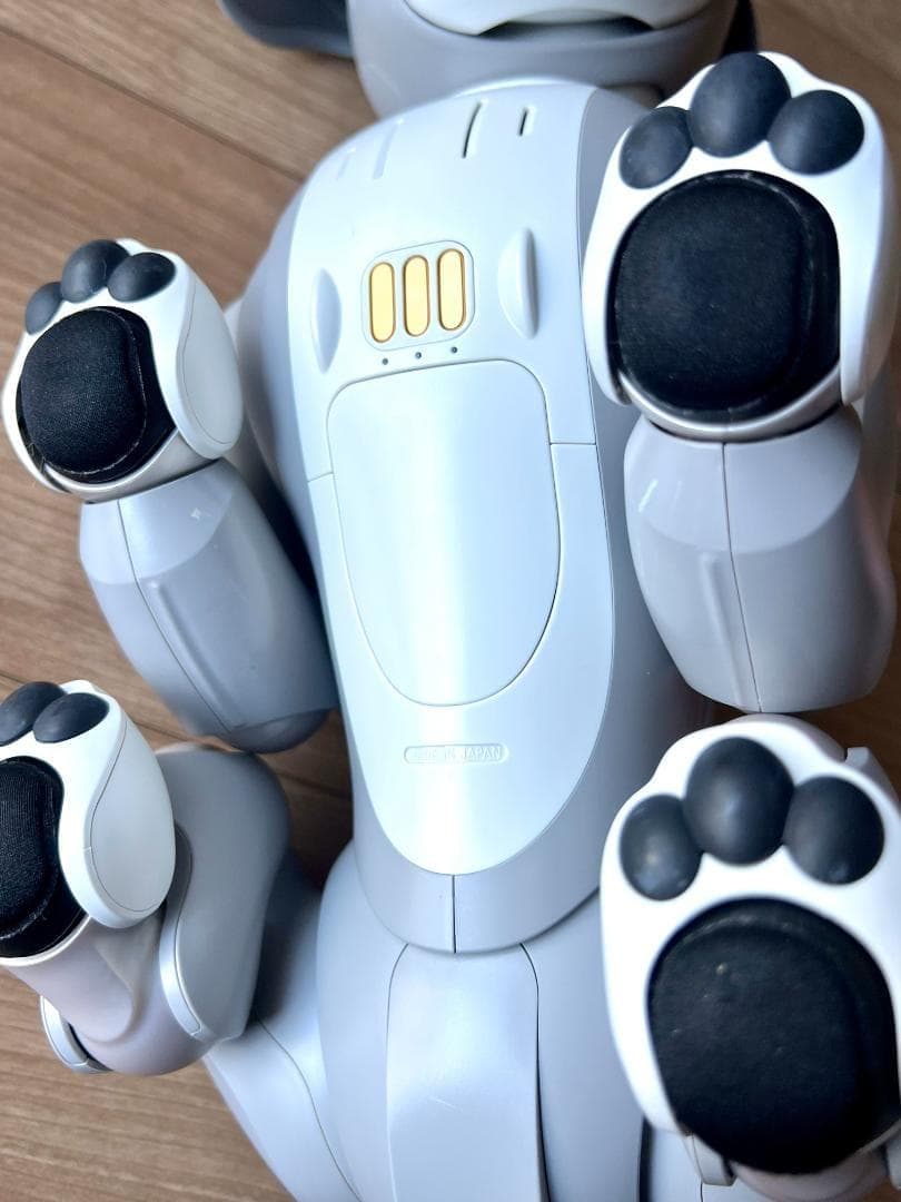 「Hiro 」Sony aibo ERS-1000 「黒ゴマエディション」