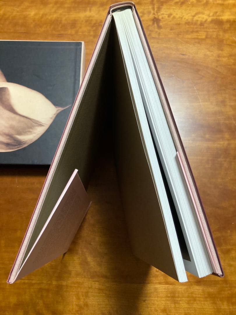 【PISTILS】Robert Mapplethorpeロバート・メイプルソープ