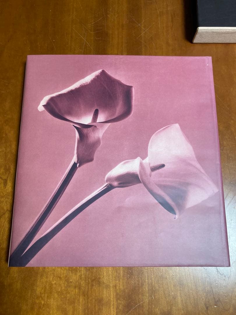 【PISTILS】Robert Mapplethorpeロバート・メイプルソープ