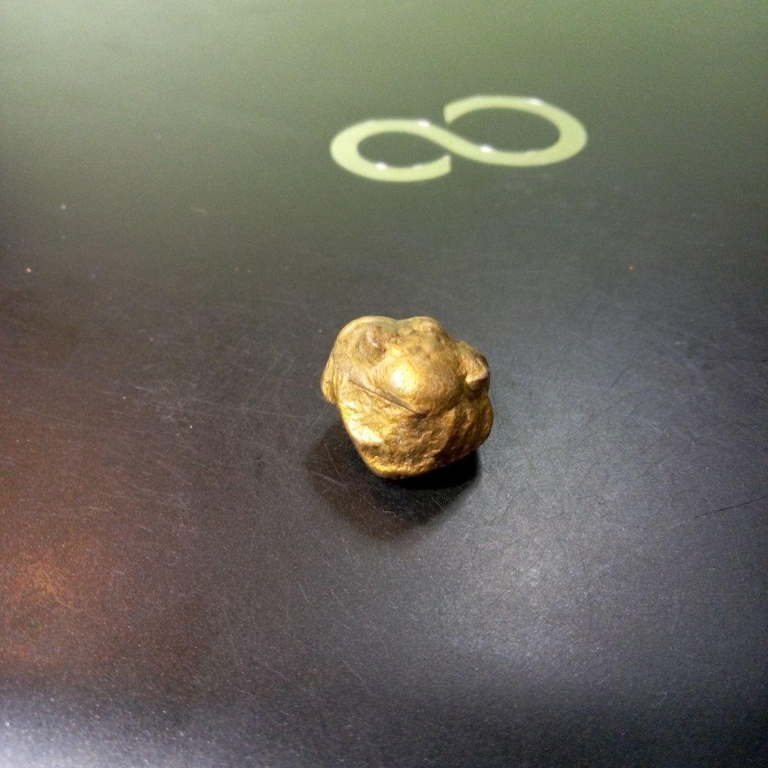 三葉虫　化石　fossil　ボリビア産　レア　Fossil管理⑥