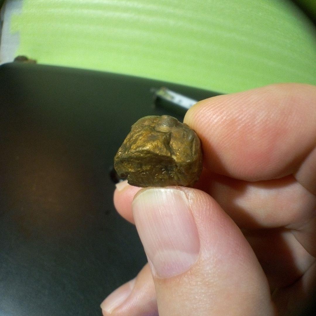 三葉虫　化石　fossil　ボリビア産　レア　Fossil管理⑥