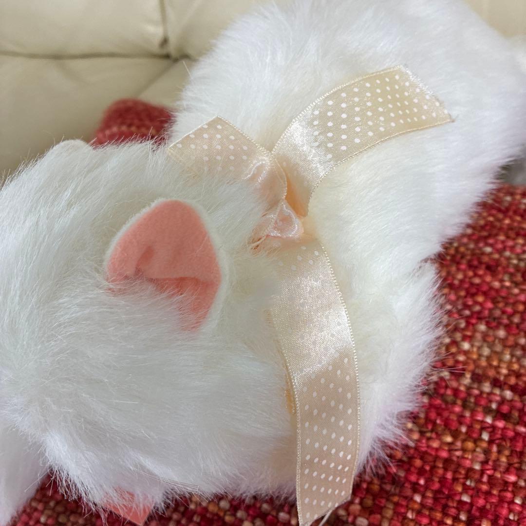 オオイケ　ペルシャネコ　ボビー　M