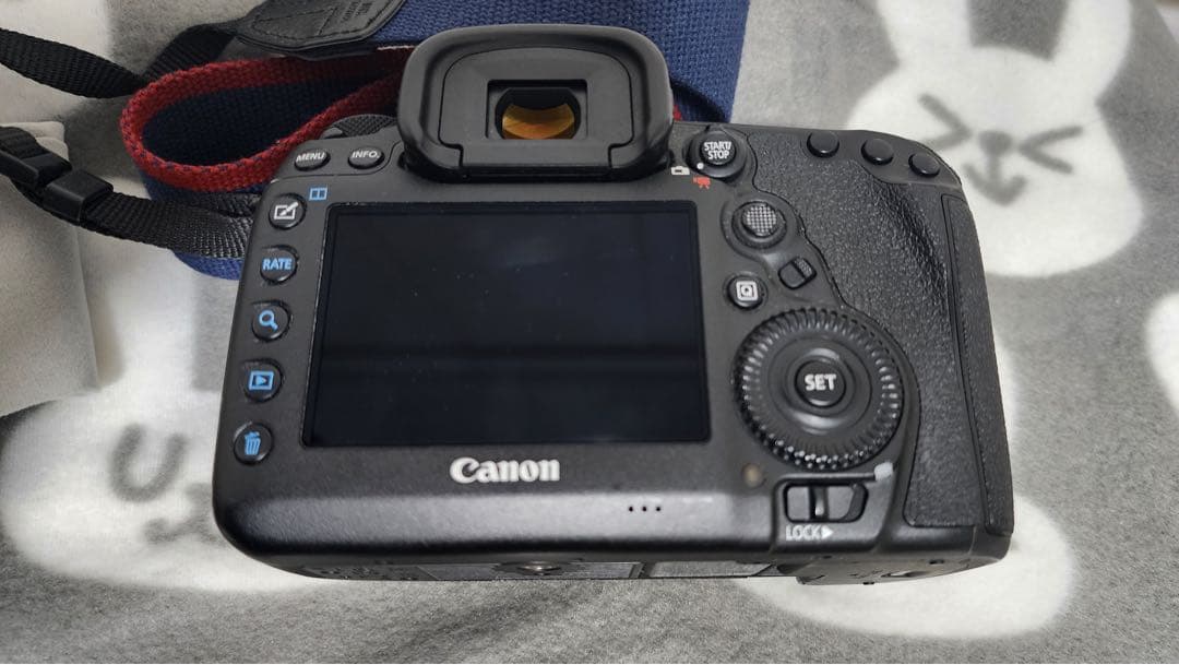 Wi-Fi/動画/canon EOS 5D Mark IVボディ、レンズセット
