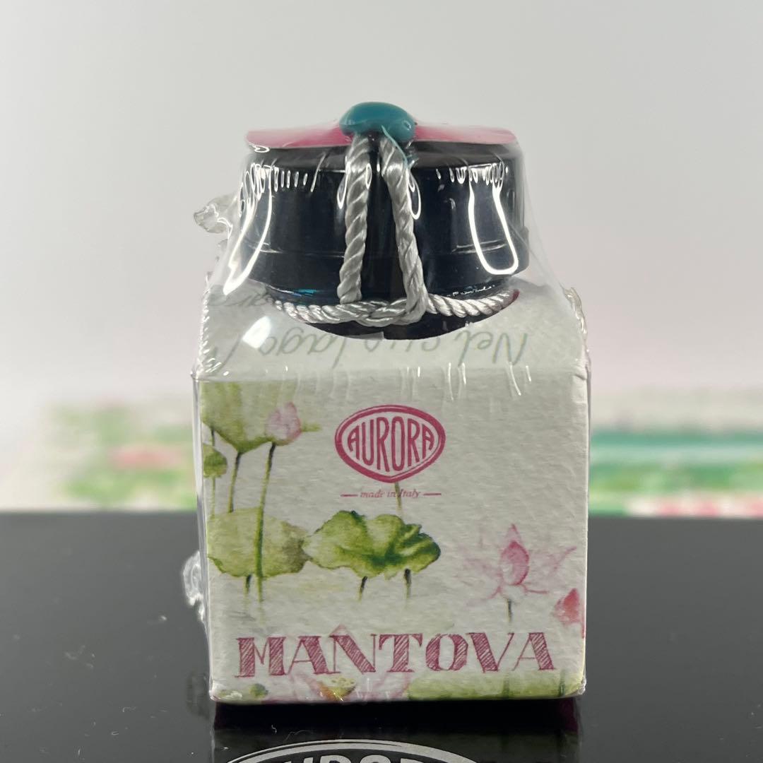 AURORA アウロラ 万年筆 Mantova マントヴァ 888-VMN