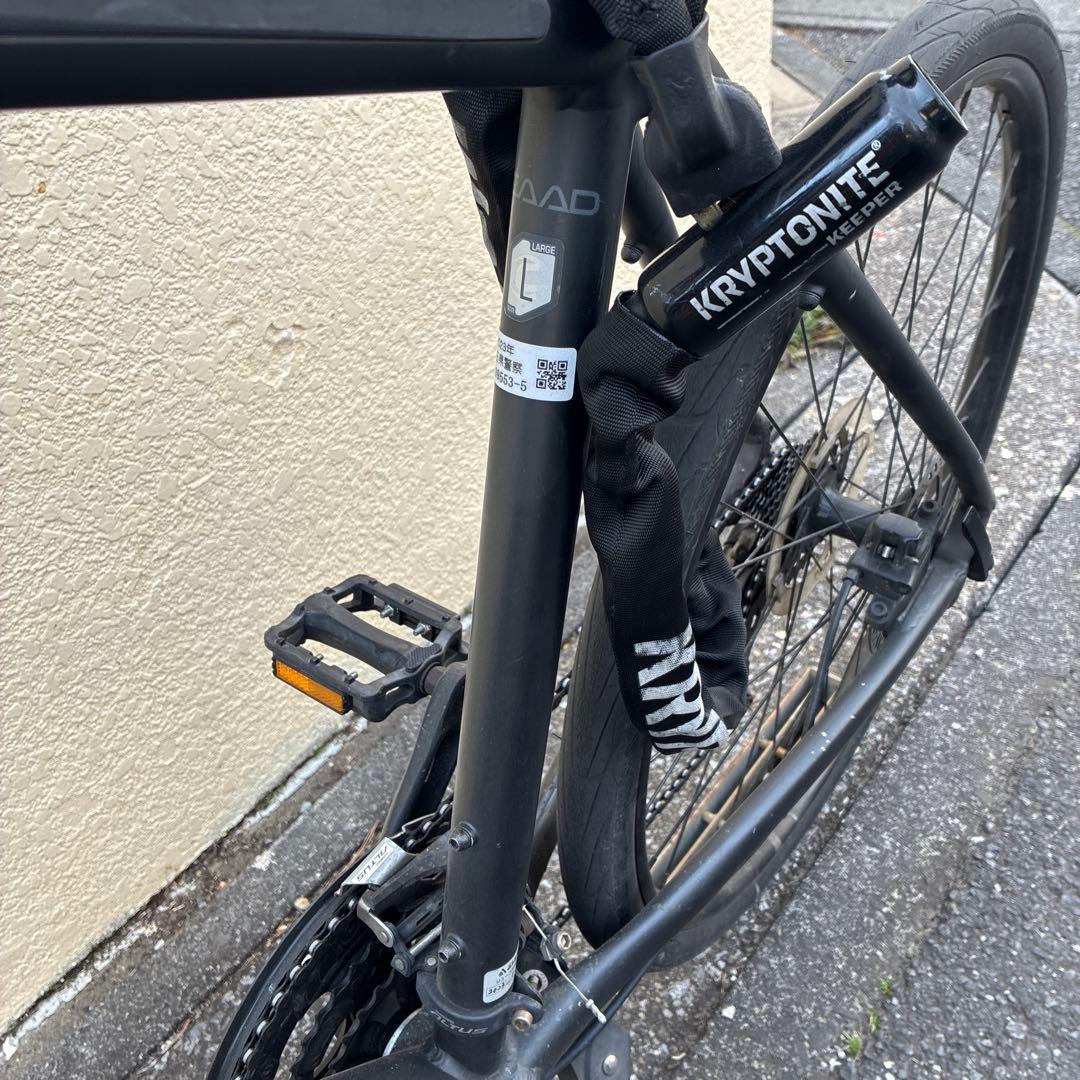 キャノンデール　badboy2(2019) Lサイズ