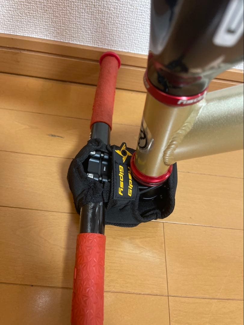 ストライダープロ ゴールド ランバイク