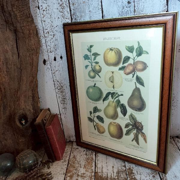 イタリア ヴィンテージ 大判 無垢 木枠 額装 アート パネル 大型 特大 美術