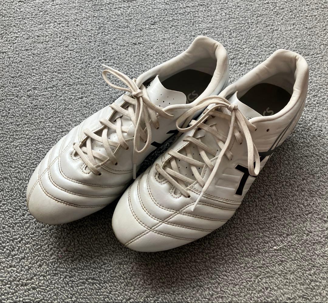 アシックスDS LIGHT GAIN ST WIDE 25cm