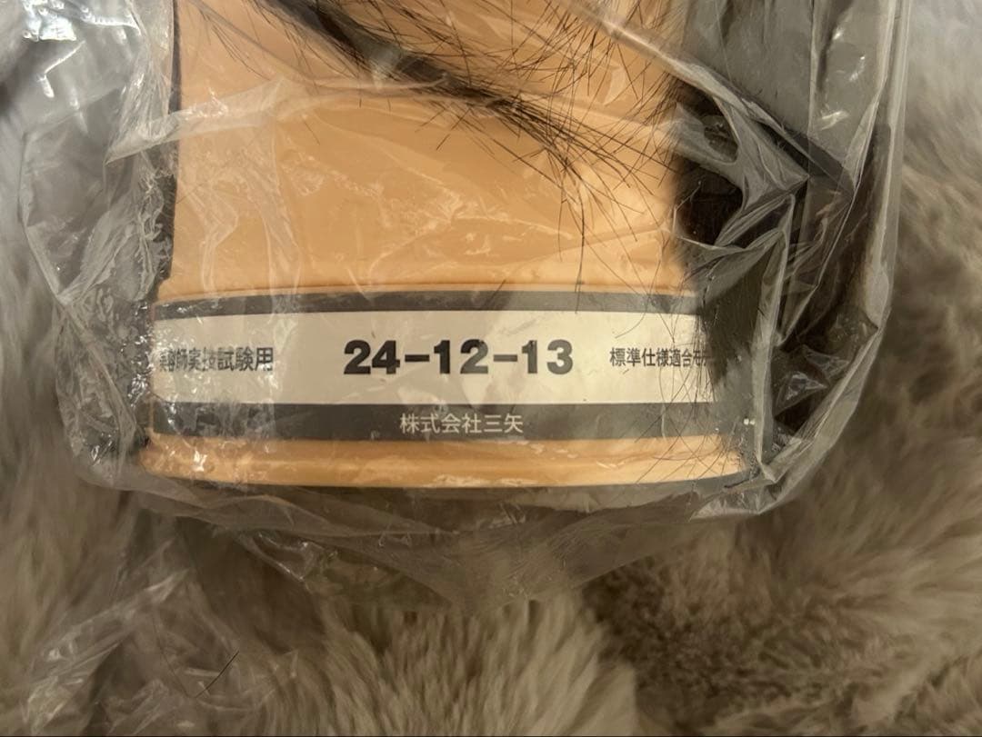 未美容師国家試験 本番用カットウィッグ2個セット