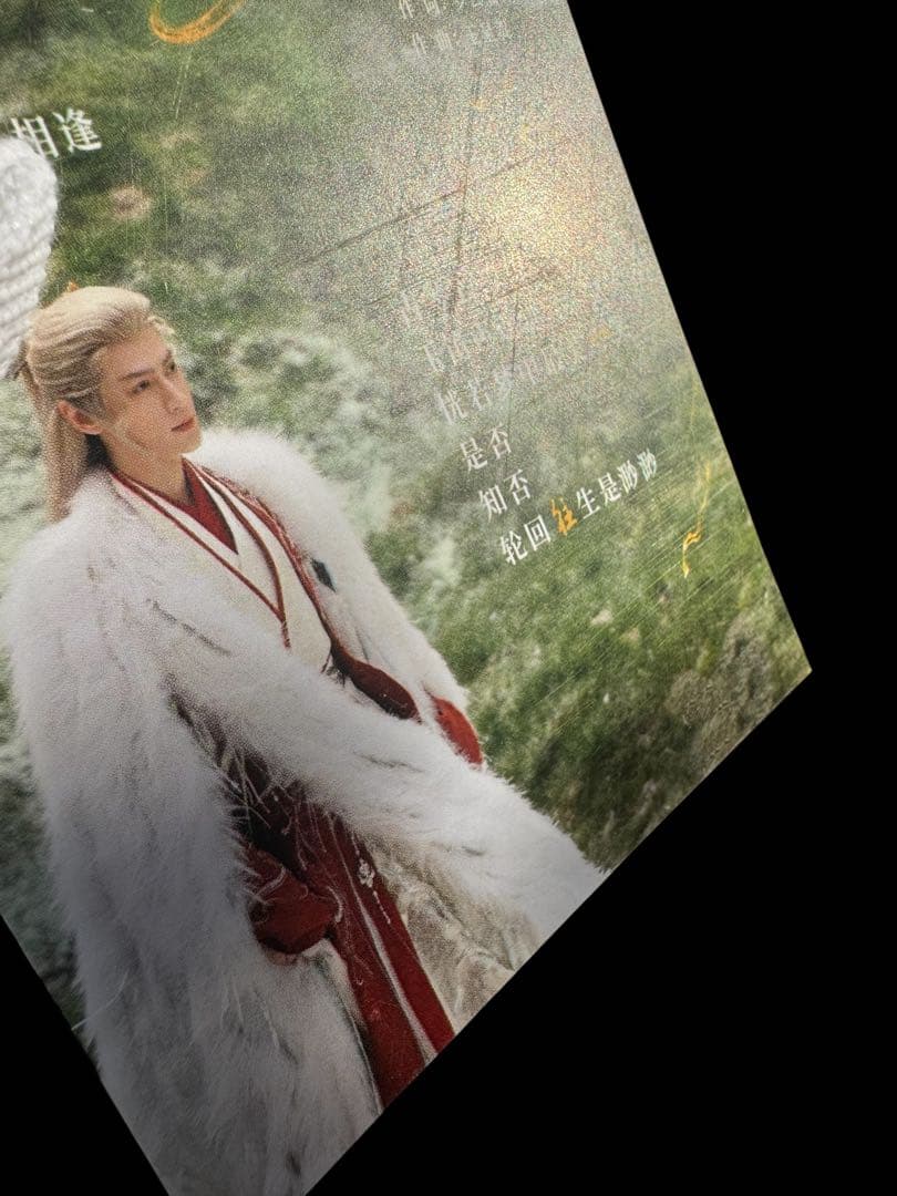 のりたま レオ・ロー 罗云熙 ポストカード・卓上カレンダー・手幅