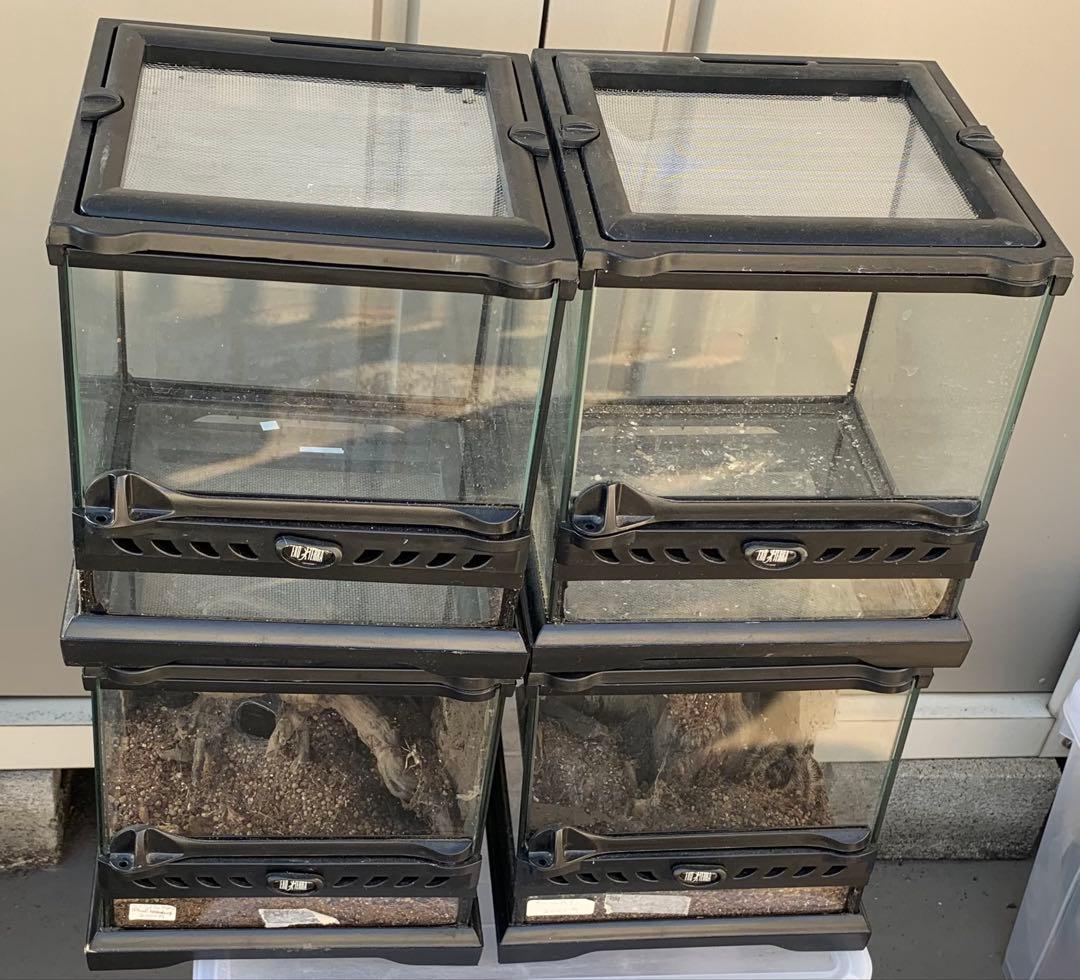 グラステラリウム　エキゾテラ　ナノ　キューブ