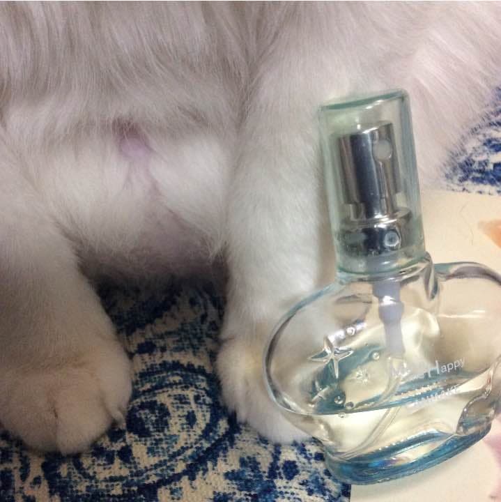 【お取り置き品】メイクミーハッピー ダイヤモンドウィッシュ 30ml