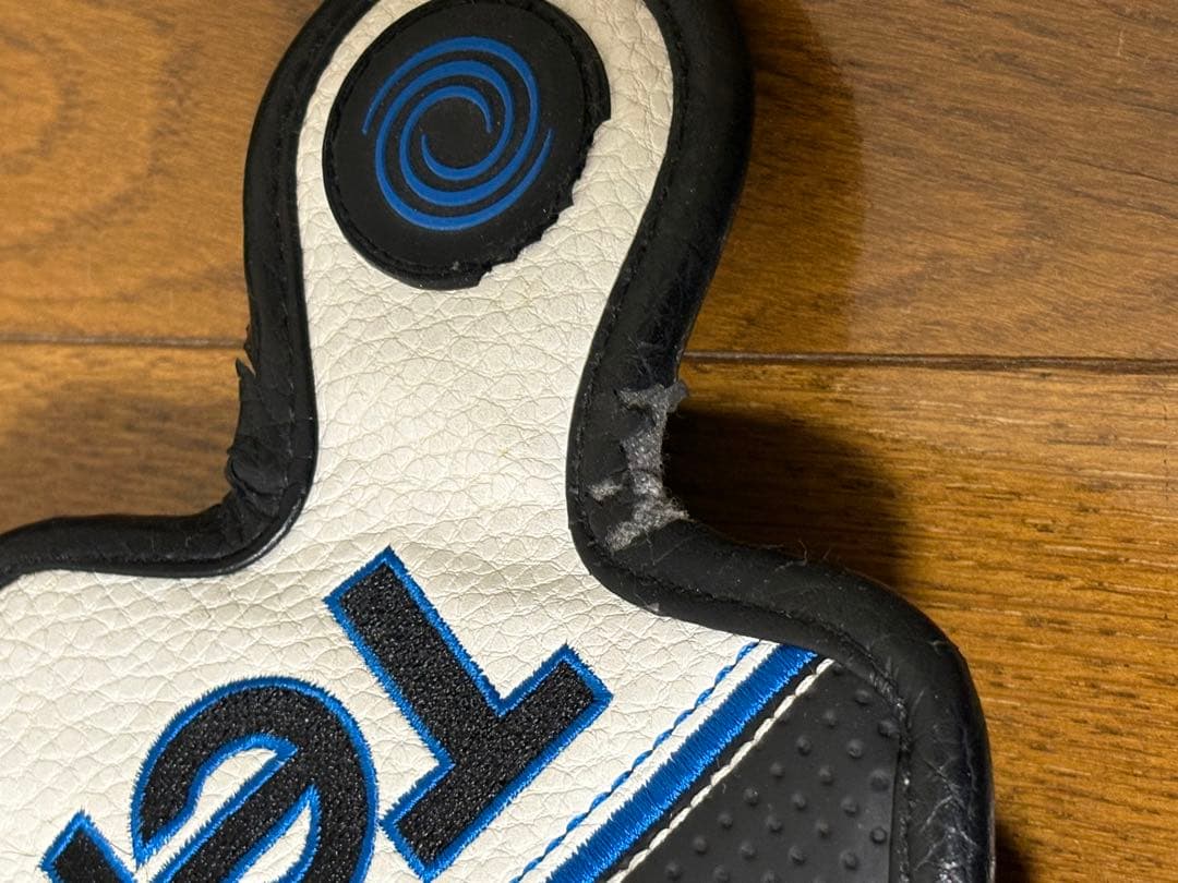 ODYSSEY 2-ball Ten パター