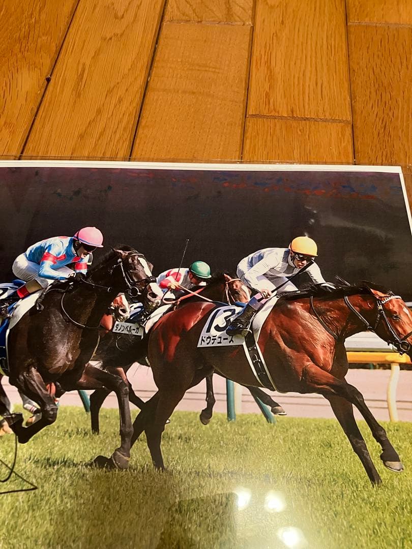 イクイノックス　鬣　たてがみ　2022 日本ダービー　C・ルメール騎手直筆サイン