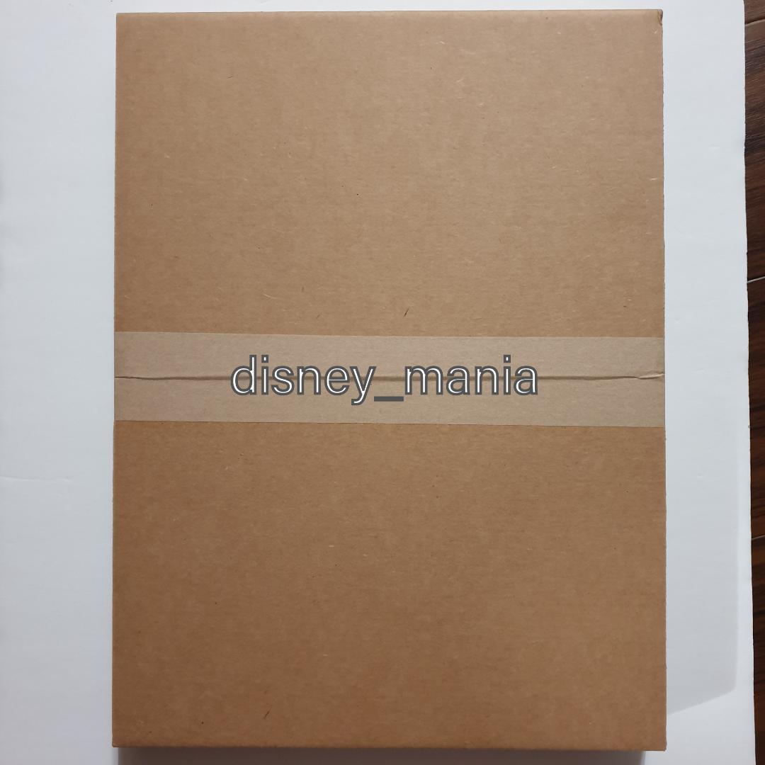 韓国BL Codename Anastasia キャンバスプレイン 小説限定版