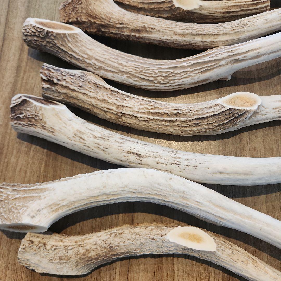 鹿の角 (特大～大サイズ)犬用おもちゃ ランダム　2kg　およそ4本～8本