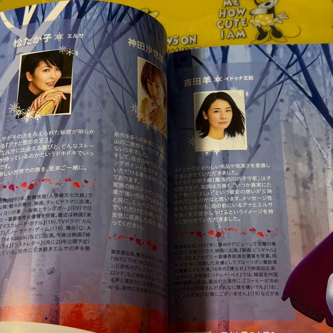 ディズニー アナと雪の女王２ パンフレット
