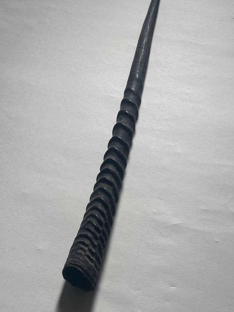 希少② オリックスホーン　鹿の角　検索）一角獣　オウムガイ