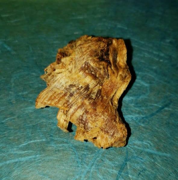 57 伽羅、六国五味、聞香、香木、沈香「ブルー白檀根瘤12,5g」