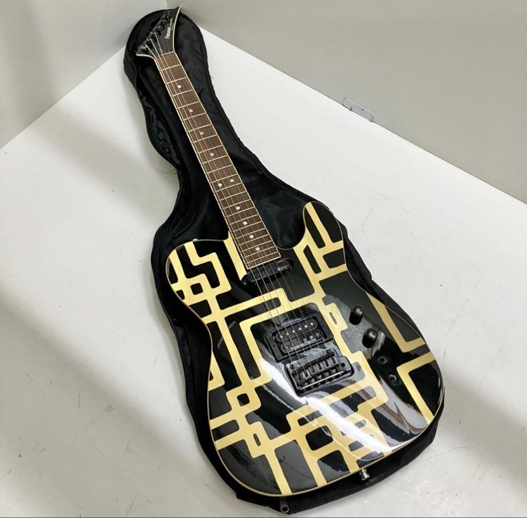 フェルナンデス FERNANDES TE-120S HT 社外ソフトケース付