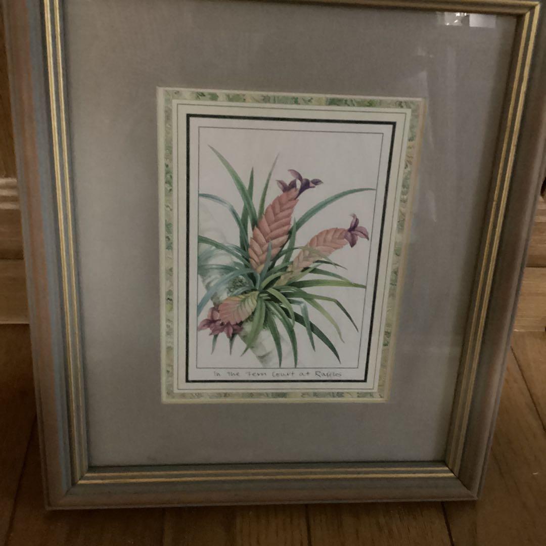 シンガポール　ラッフルズホテル　熱帯植物リトグラフ　額装仕立て