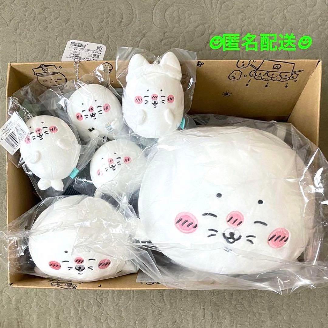 ナガノ 水族館 アザラシ マスコット & ぬいぐるみ くじ B C D 猫 塩